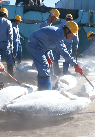 生産者の汗